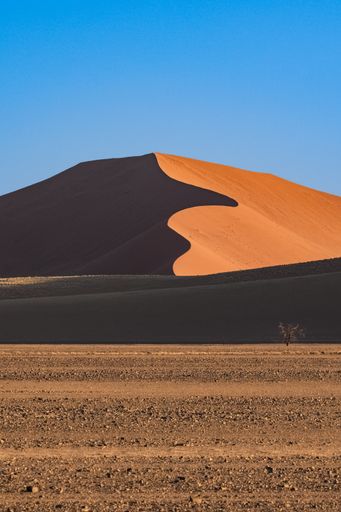 Namibia, the Namib desert, graphic landscape of red dunes