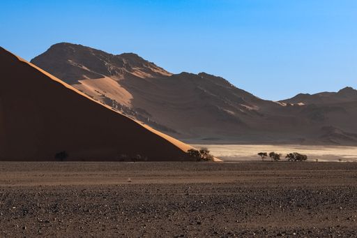 Namibia, the Namib desert, graphic landscape of red dunes