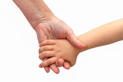 A closeup sho of a parent holds the hand of a small child isolated on a white background