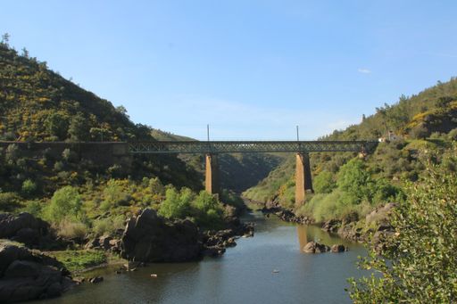 A bridge over a river surrounded by greenery under a blue sky on a sunny day