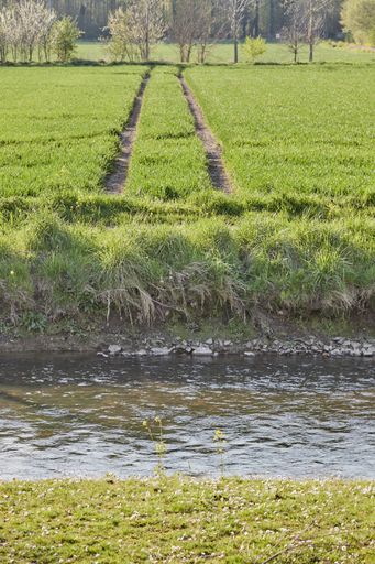 A vertical shot of a channel water and green grass feilds with trees on the horizon on a sunny day