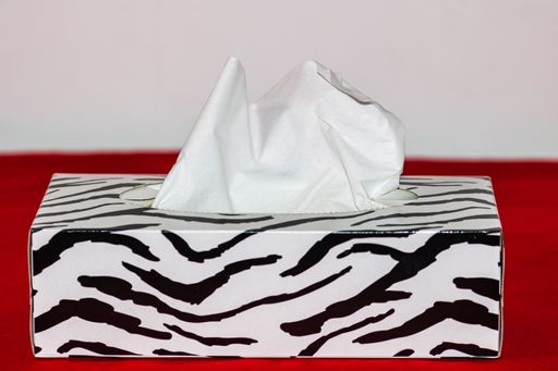 A closeup of a zebra box of white paper tissues on a red surface