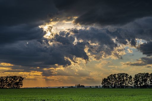 A horizontal shot of dramatic puffy clouds over a green field