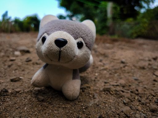 A selective focus shot of a small soft toy on the ground