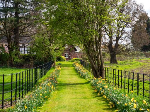 A trail leading to a countryside cottage during spring time, England, UK