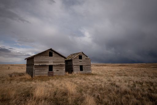 Abandoned farm buildings in Alberta in early Spring.