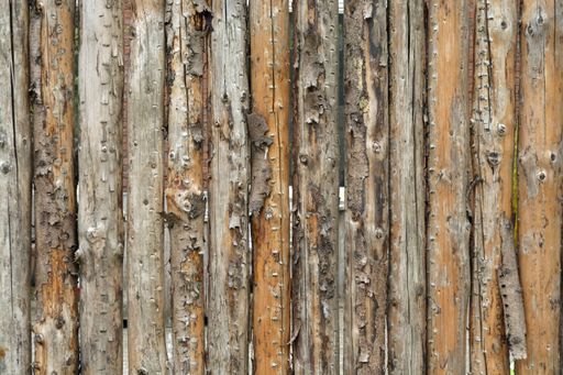 A closeup shot of a wooden plank texture - perfect for background or wallpaper