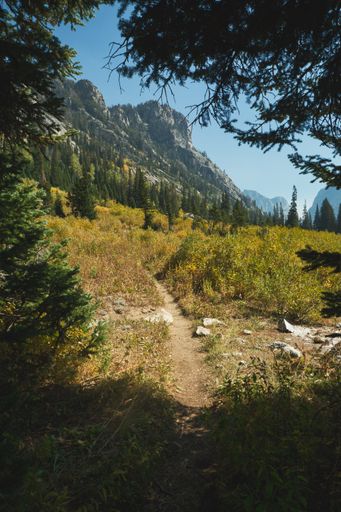 A vertical shot of a hiking trail at the mountains in Grand Teton National Park, Wyoming, USA