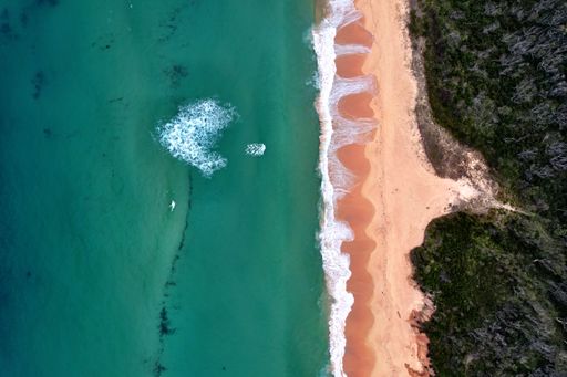 An aerial top view of the seascape against its coastline covered with green trees on a sunny day