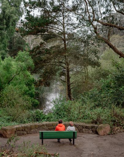 A back view of two females on the bench in the forest