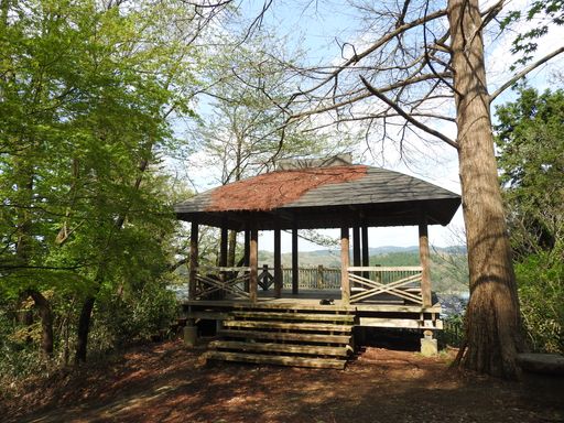 A beatiful shot of wooden cabin in the forest