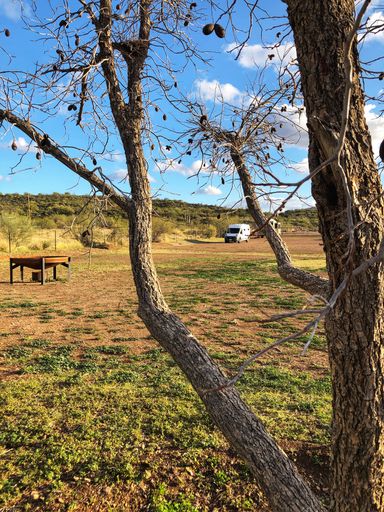 A beautiful shot of a white van in a big field of camping land behind a tree under cloudy sky