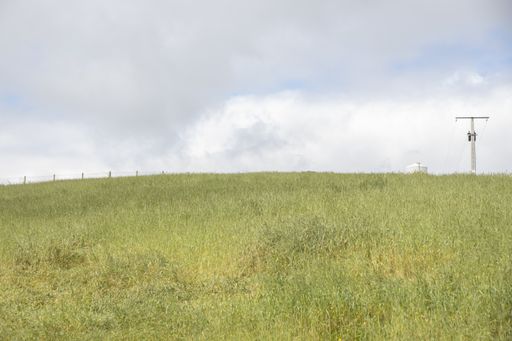 A beautiful shot of an open ground filled with grasses under on a cloudy blue sky
