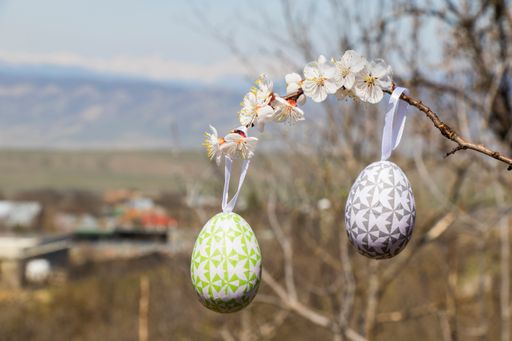 A closeup of colorful Easter eggs on a branch with flowers in a field