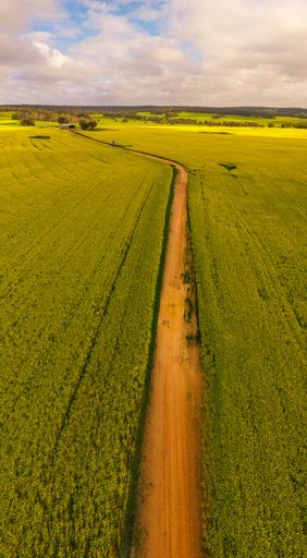A beautiful vertical shot of a long brown road in a green field on a cloudy sky background