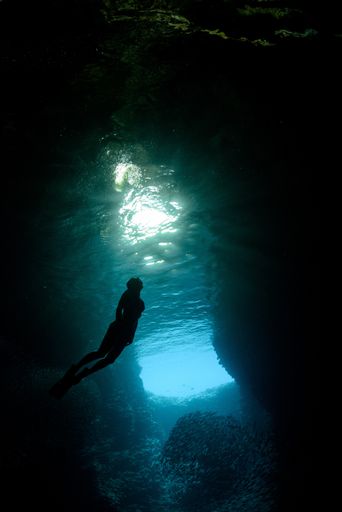 A beautiful vertical shot of a diver silhouette swimming through blue water