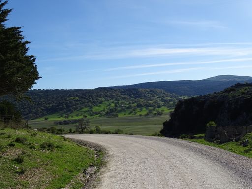 a pathway going through hills