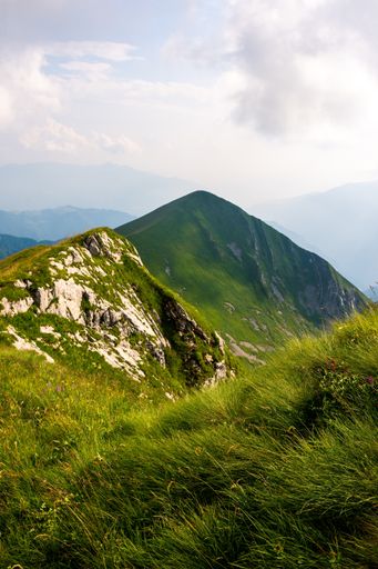 A vertical shot of beautiful hills covered in green grass with a mountain peak in the background