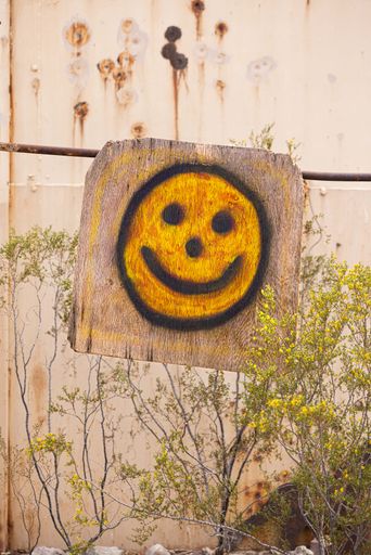 A vertical shot of an art street graffiti of a smiley face