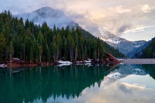 A beautiful view of a reflective lake and a forest with trees