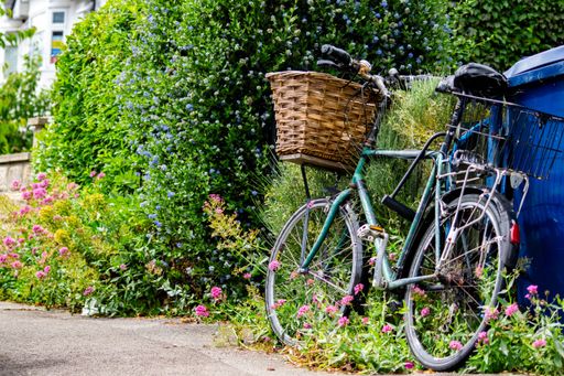 A bicycle with a basket in the green park