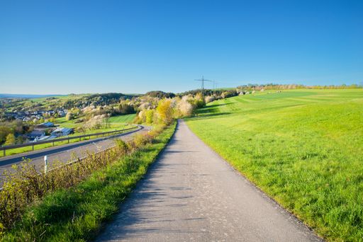Path in the countryside between a agricultural field and a road, landscape in Germany, blue sky in the spring