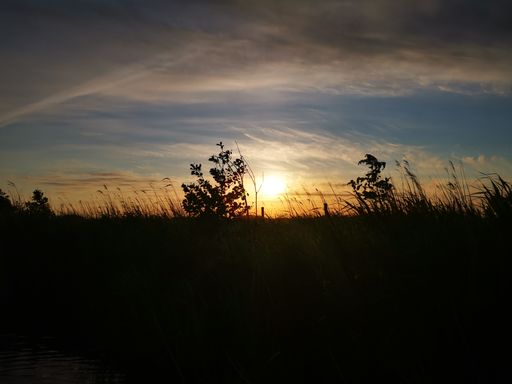 A silhouette shot of a grass field under the beautiful sky during sunset