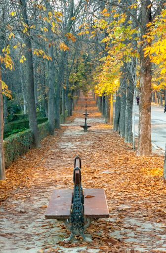 A vertical shot of a park located in Madrid, Spain in autumn during daylight