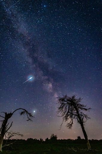 A low angle view of a shooting star on a starry sky at night against trees