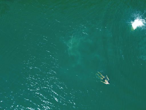 A top view of a person swimming in the Noosa River