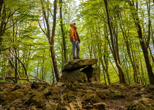 a shot of a man on a rock in the forest