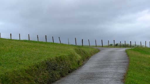 A narrow pathway in a green grassy field surrounded by a fence