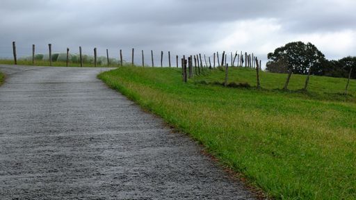 A narrow pathway in a green grassy field surrounded by a fence