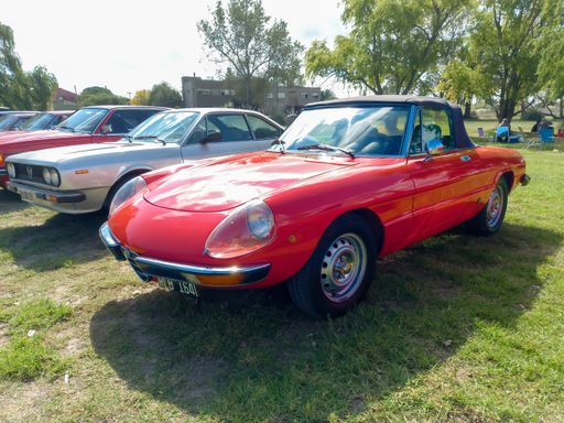 Red sport Alfa Romeo Spider Veloce roadster Series 2 Coda Tronca 1970s on the grass. Nature trees in the background. Classic car show. Copyspace.