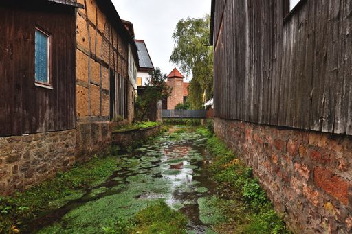 A closeup of a mossy river near the buildings