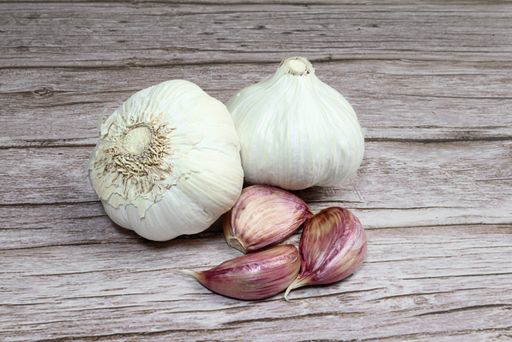 A closeup shot of the fresh garlic on a rustic wooden table. Garlic cloves