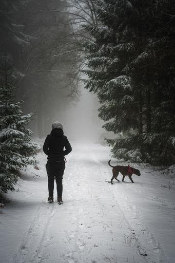 A vertical shot of a female walking with her dog on a snow covered road surrounded by trees