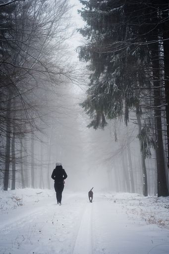 A vertical shot of a human walking with his pet on a snow covered road surrounded by trees