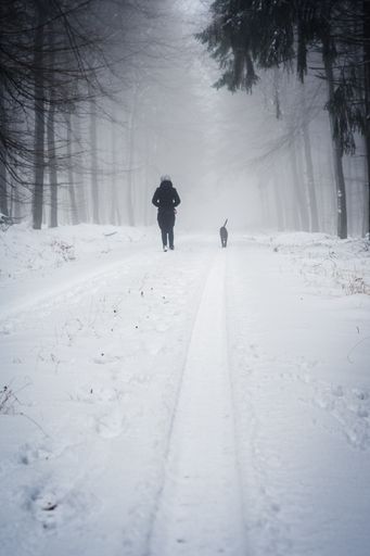 A vertical shot of a human walking with his pet on a snow covered road surrounded by trees