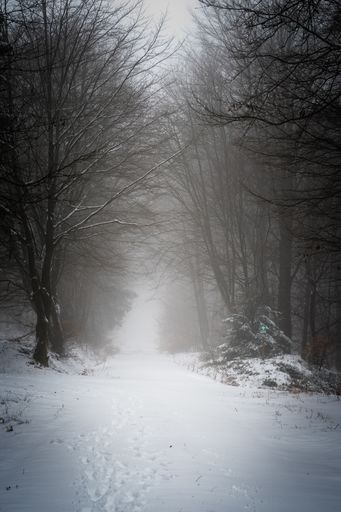 A vertical shot of a foggy snow covered road in the forest - dark winter scene