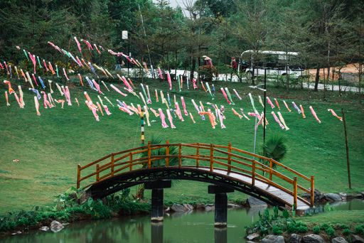 A view of a beautiful bridge over a pond in a green park with colorful garlands hanging above it