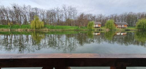 The beautiful shot of a riverside resort houses and tree reflection on a river water taken from a balcony