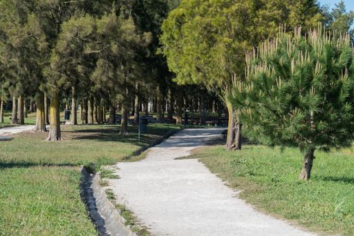 A scenic view of a path passing through a dense forest in Santa Iria d'Azoia Urban Park in Loures, Portugal
