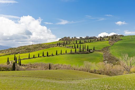 An aerial view of green hills landscape on a sunny morning