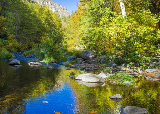 The image shows Oak Creek in the Fall running through Oak Creek Canyon near Sedona
