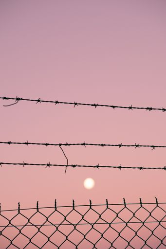 A vertical shot of barbed wire over a fence under a pink sunset sky