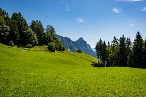 Meadow landscape with blue sky - Sattel, Switzerland