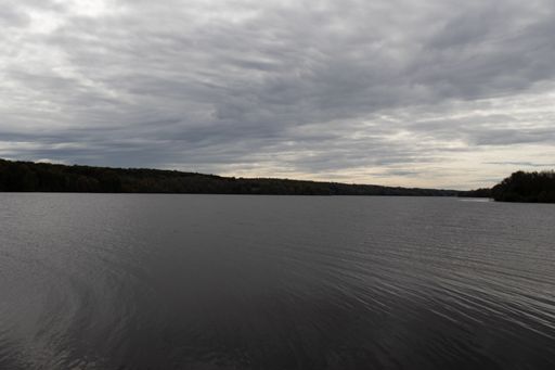 A mesmerizing view of trees of forest by the lake under very cloudy sky