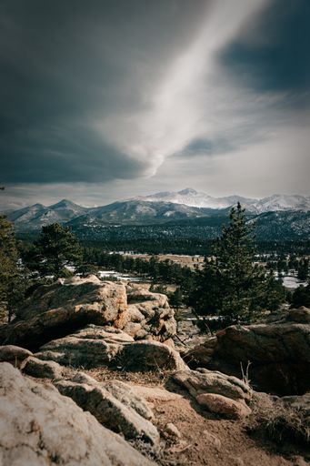 A vertical shot of a rocky field with pines on the background of snow-capped mountains on a foggy day
