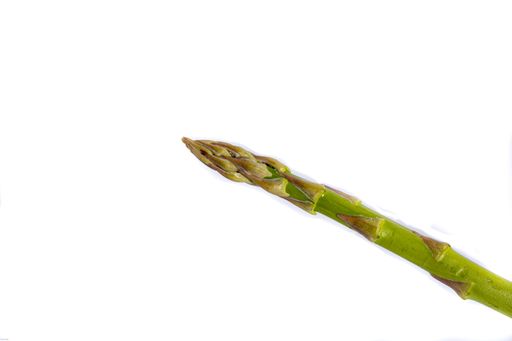 A closeup shot of fresh asparagus isolated on white background